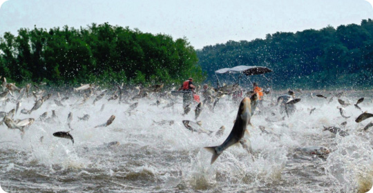 不花一分錢換新機？揭秘空壓機節能改造的財富密碼