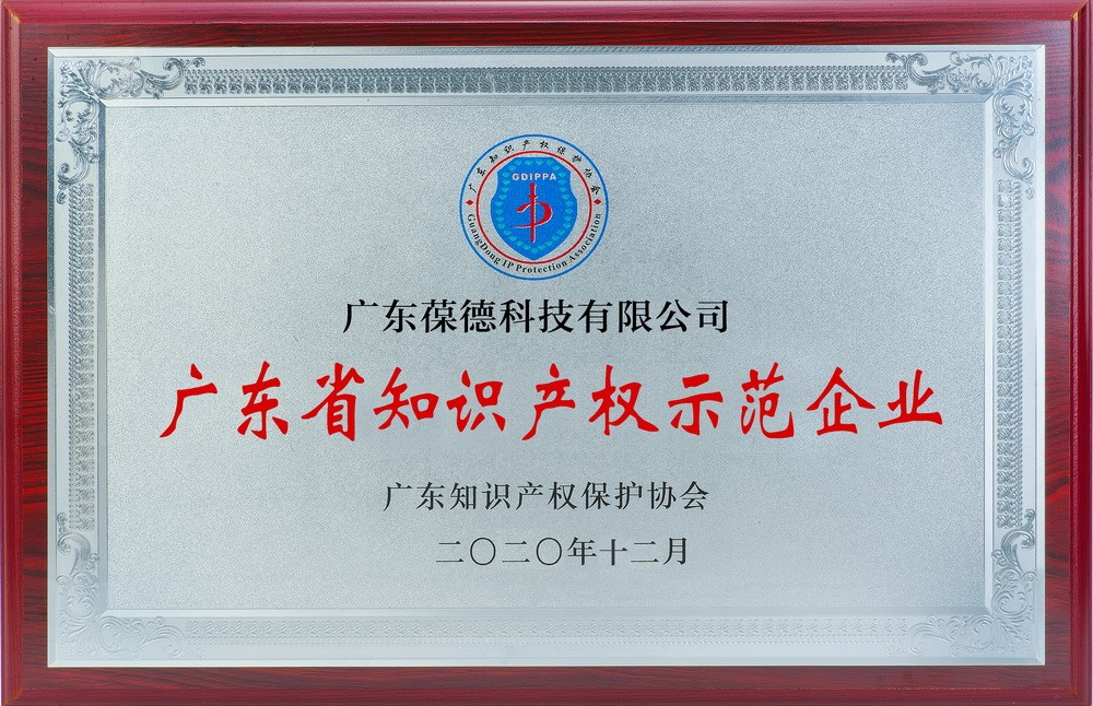 Guangdong Intellectual Property Demonstration Enterprise