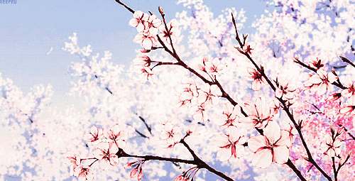 驚蟄一聲雷，葆德送春風(fēng)