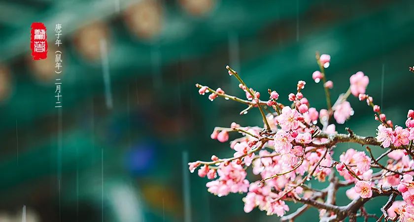 驚蟄一聲雷，葆德送春風(fēng)