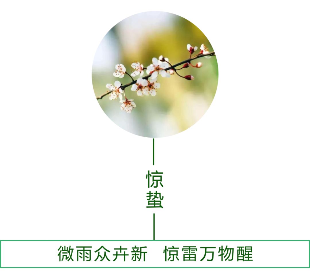 驚蟄一聲雷，葆德送春風(fēng)