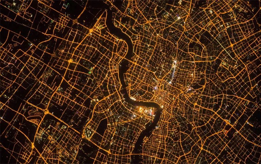 植樹節 | 保護地球，葆德做起