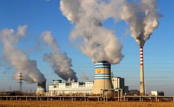 植樹節 | 保護地球，葆德做起