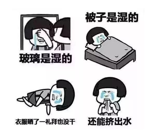 空壓機除濕實用小技巧：來自葆德君的細致關(guān)懷