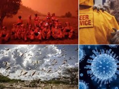 世界地球日｜葆護地球，與自然和諧共生