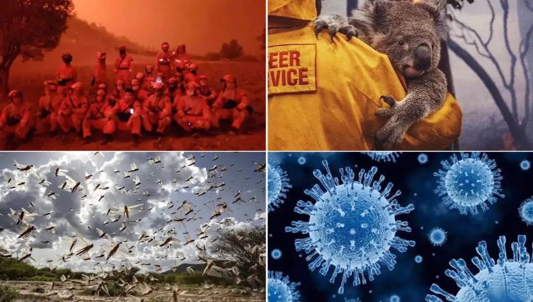 世界地球日｜葆護地球，與自然和諧共生