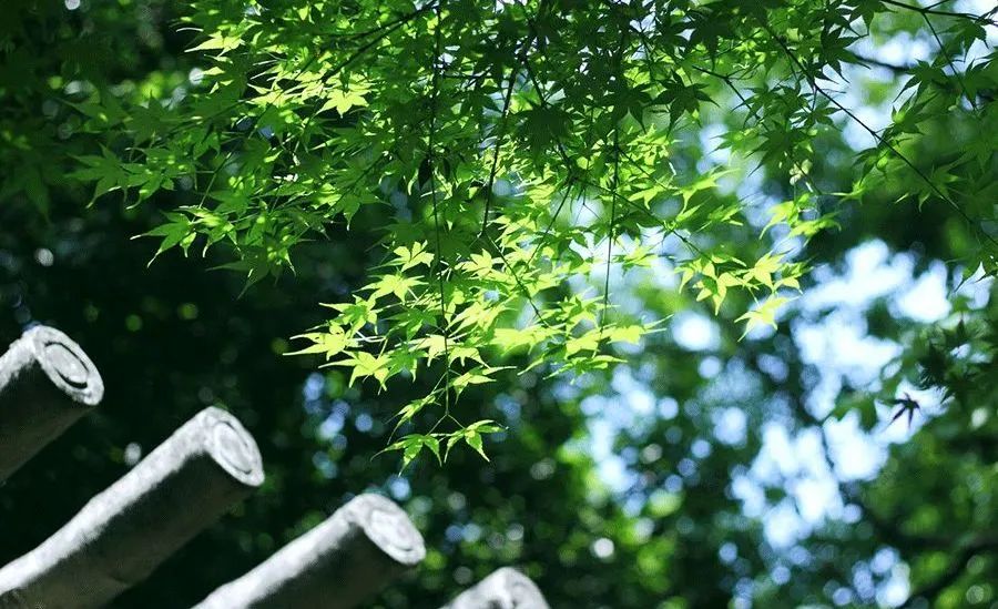 進入夏季高溫期，空壓機常見故障排除竅門