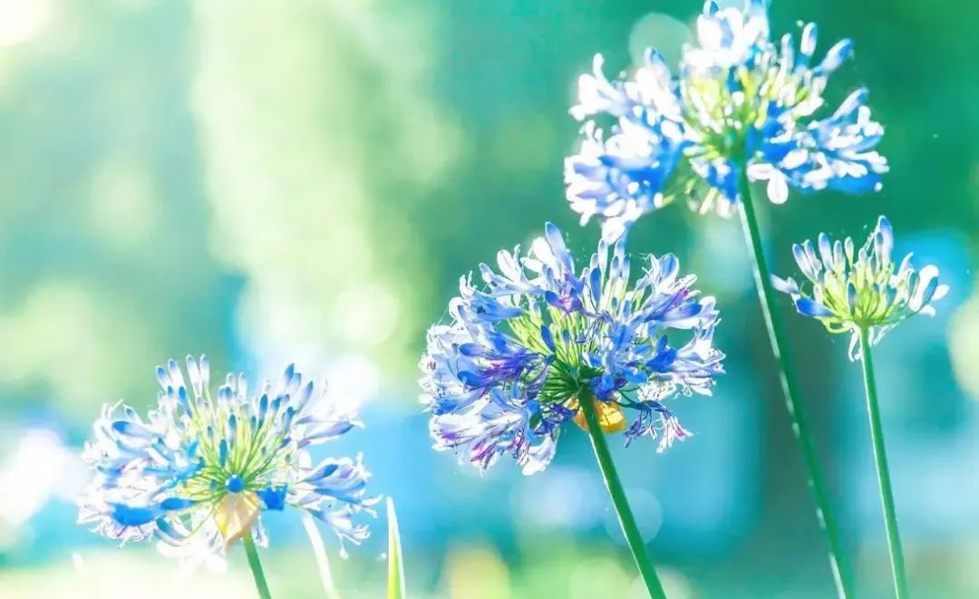 進入夏季高溫期，空壓機常見故障排除竅門