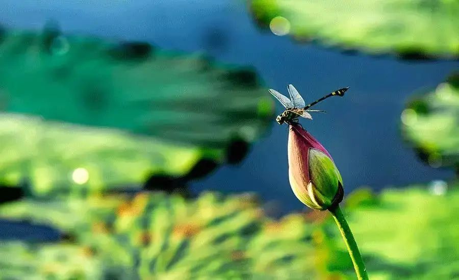 進入夏季高溫期，空壓機常見故障排除竅門
