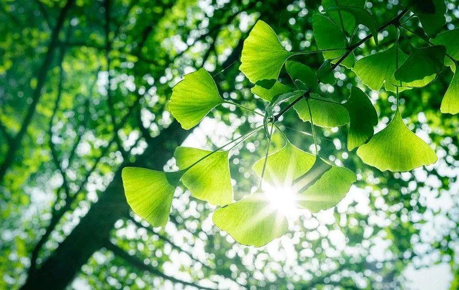 進入夏季高溫期，空壓機常見故障排除竅門