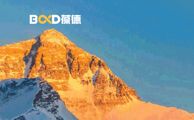 高瞻遠(yuǎn)矚｜葆德董事長給葆德80/90后的一封信