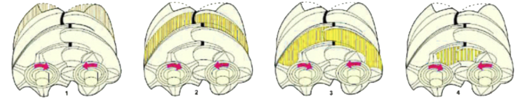 為綠水青山打CALL | 鼓風(fēng)機(jī)在水處理中的應(yīng)用