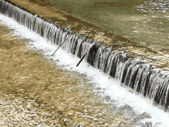 為綠水青山打CALL | 鼓風機在水處理中的應用