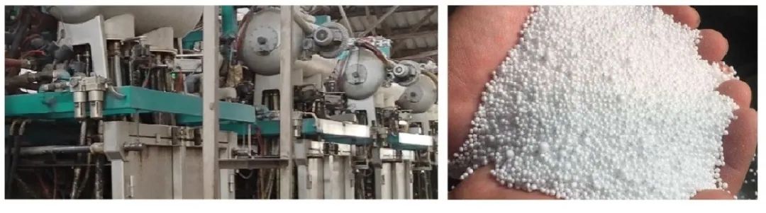 口碑爆棚｜葆德又簽下一位年輕級節能代言人