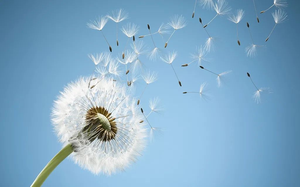 記住這些數(shù)據(jù)，你就懂空壓機(jī)了！