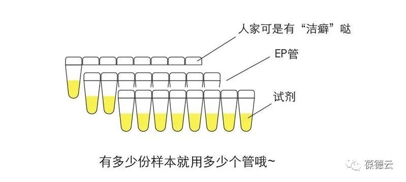 圖解核酸檢測，助力抗疫，葆德一直在行動!
