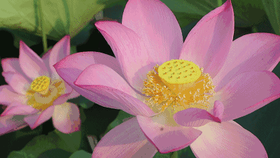 葆德貼心關(guān)懷，空壓機防高溫有妙招！