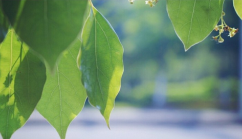 葆德貼心關(guān)懷，空壓機防高溫有妙招！