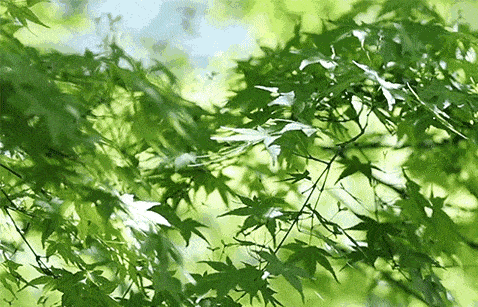 葆德貼心關(guān)懷，空壓機防高溫有妙招！