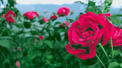 葆德貼心關(guān)懷，空壓機防高溫有妙招！