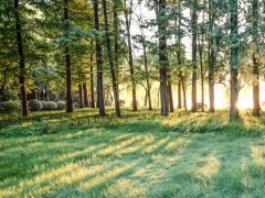 國家立法工業噪音排放，制造業開啟“靜音”模式！