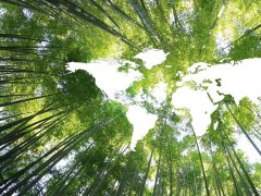 全國低碳日 | 讓低碳節能成為我們共同的選擇！