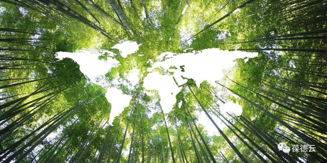 全國低碳日 | 讓低碳節(jié)能成為我們共同的選擇！