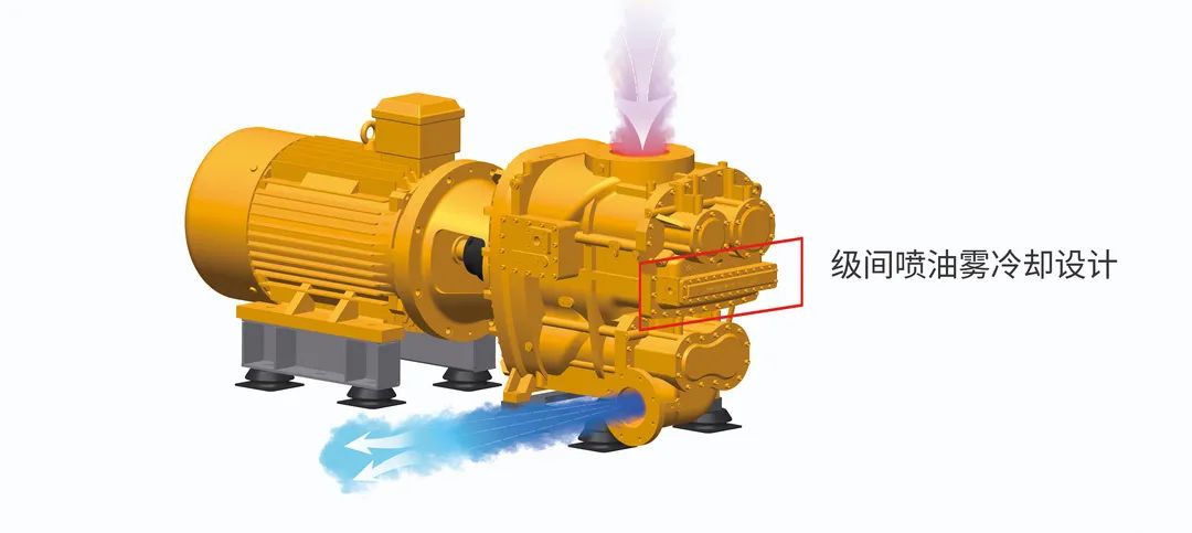 “雙碳”節(jié)能如何年省100萬(wàn)？央視采訪(fǎng)帶你一“碳”究竟！