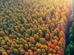 “錯峰用電”與“新階電價”，企業生產如何實現科學節能？