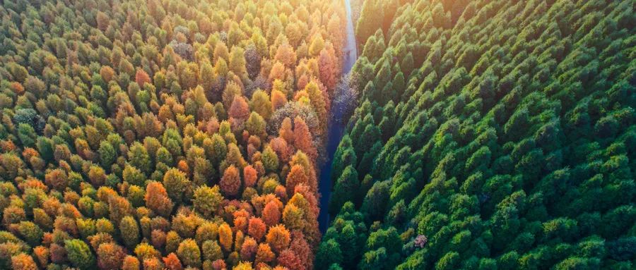 “錯峰用電”與“新階電價”，企業生產如何實現科學節能？