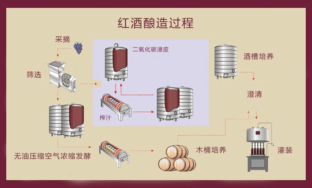漲知識｜紅酒內有“活”的生物？內行人知道的“秘密”！
