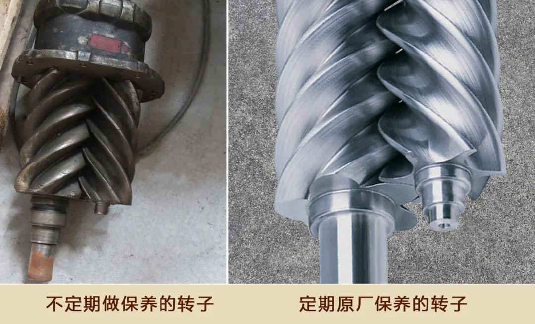 虎氣滿滿，強大動力，開年保養(yǎng)很有必要！