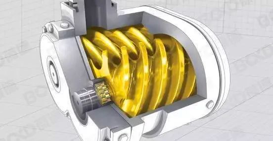 虎氣滿滿，強大動力，開年保養(yǎng)很有必要！