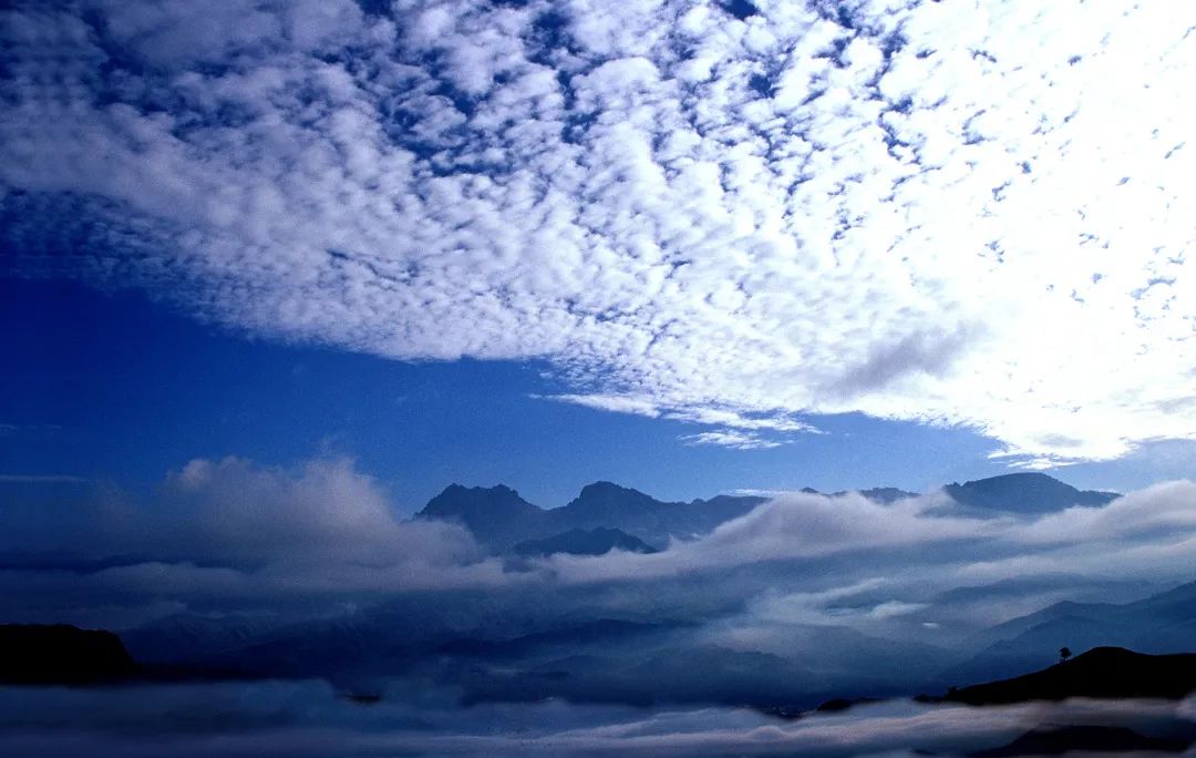 世界地球日，節(jié)能先鋒葆德空壓機(jī)，用行動(dòng)保護(hù)地球！