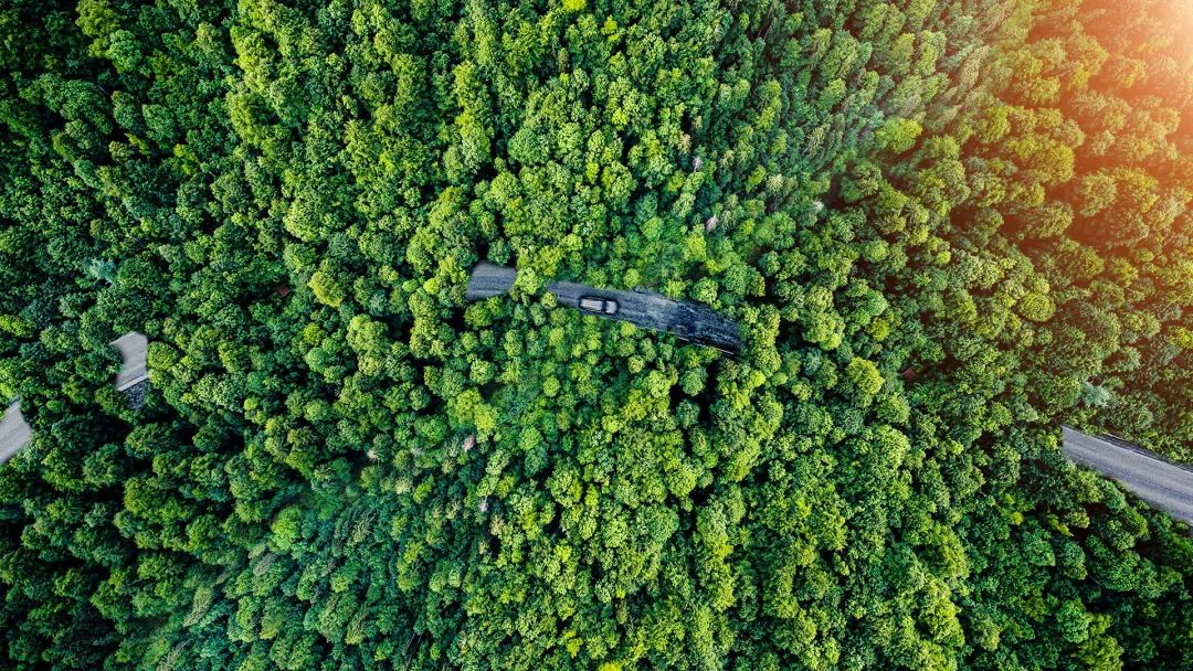 世界環境日 | 空壓機也能“光合作用”？葆德與您共建清潔美麗世界！