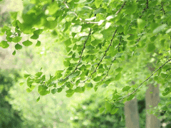 來自葆德的夏日雪糕，空壓機預防“中暑”有攻略！