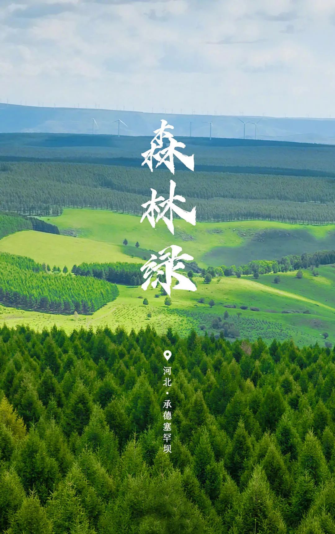 世界環境日 | 用數據驅動節能降耗，建設人與自然和諧共生！