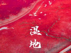 世界環(huán)境日 | 用數(shù)據(jù)驅(qū)動(dòng)節(jié)能降耗，建設(shè)人與自然和諧共生！