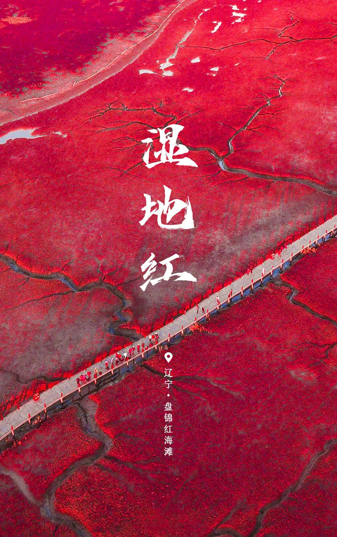 世界環境日 | 用數據驅動節能降耗，建設人與自然和諧共生！