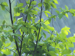 梅雨季必備之空壓機(jī)、空壓站的防雨防潮攻略