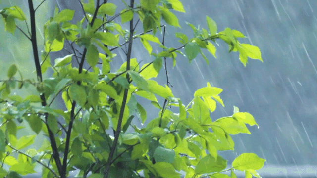 梅雨季必備之空壓機(jī)、空壓站的防雨防潮攻略