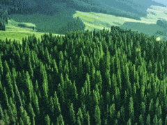 與時代，共卓越 |從中國制造到中國驕傲，國貨的齒輪開始轉(zhuǎn)動！