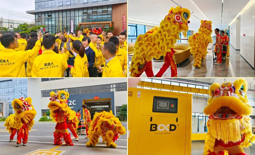 起步即沖刺，實干開新局 | 葆德控股集團開工大吉！